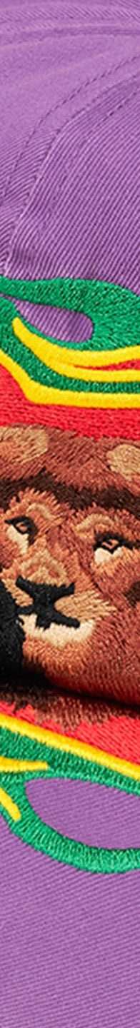 Lion of Judah 6-Panel view 5